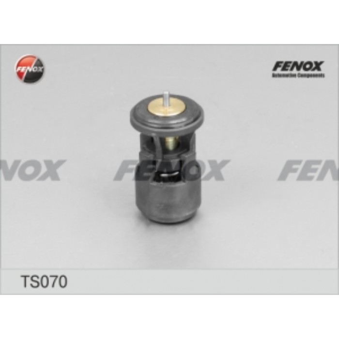 Термостат Fenox ts070