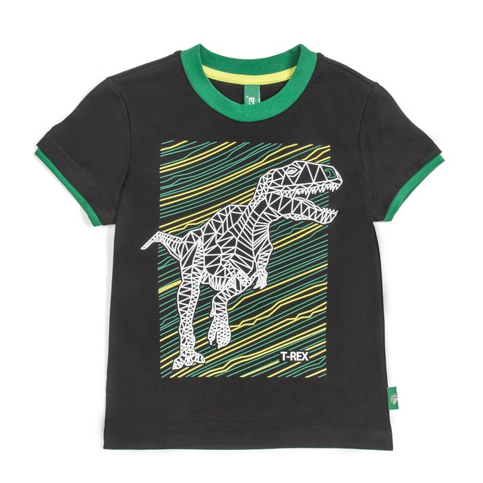 Футболка для мальчика, рост 92 см, цвет чёрный