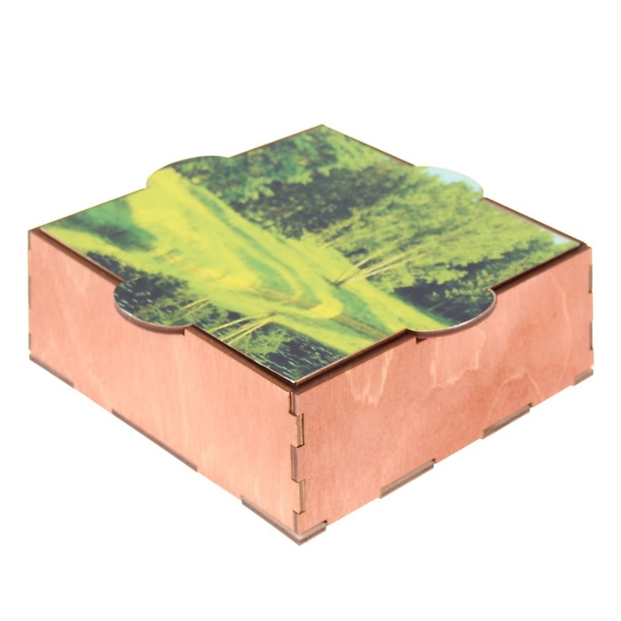 Шкатулка фанера "Лесная прогулка" (набор 6 деталей) 16х15х5 см