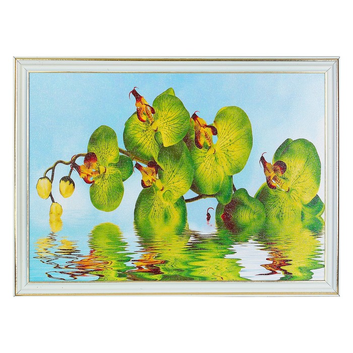 Картина "Зеленая орхидея" 28*38 см