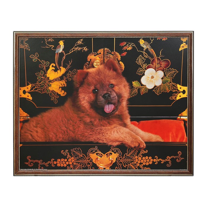 Картина "Щеночек" 43*53 см