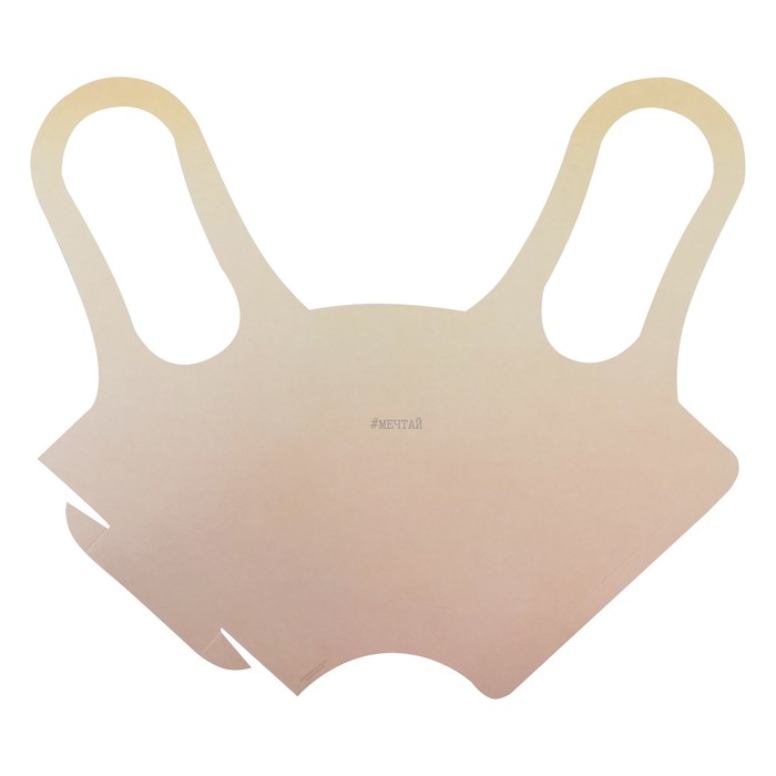 Пакет–конус с бумажными ручками «Мечтай», 15 × 38 см