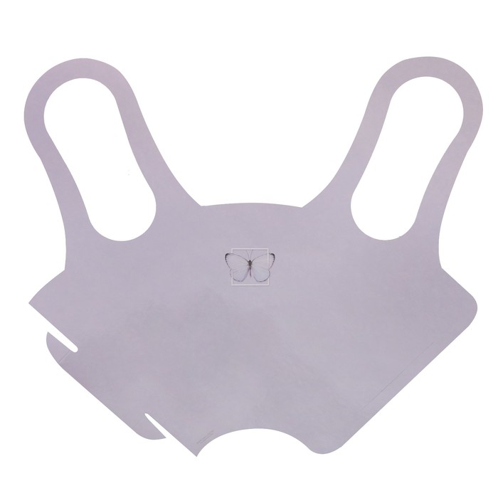 Пакет–конус с бумажными ручками «Бабочка», 15 × 38 см