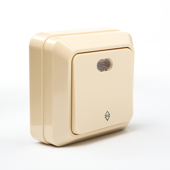 Переключатель 1-кл открытой установки с подсветкой IP20 10А, сл. кость "Ладога"