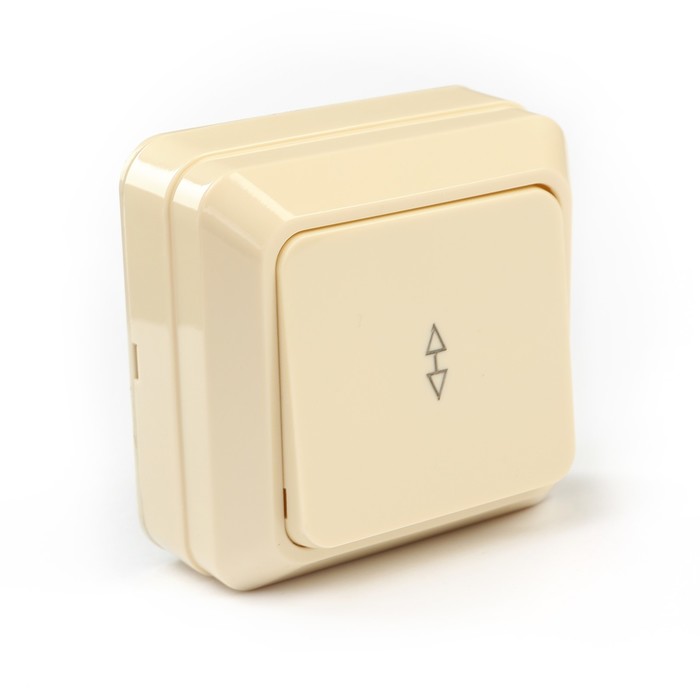 Переключатель 1-кл. открытой установки IP20 10А, сл. кость "Ладога" TDM