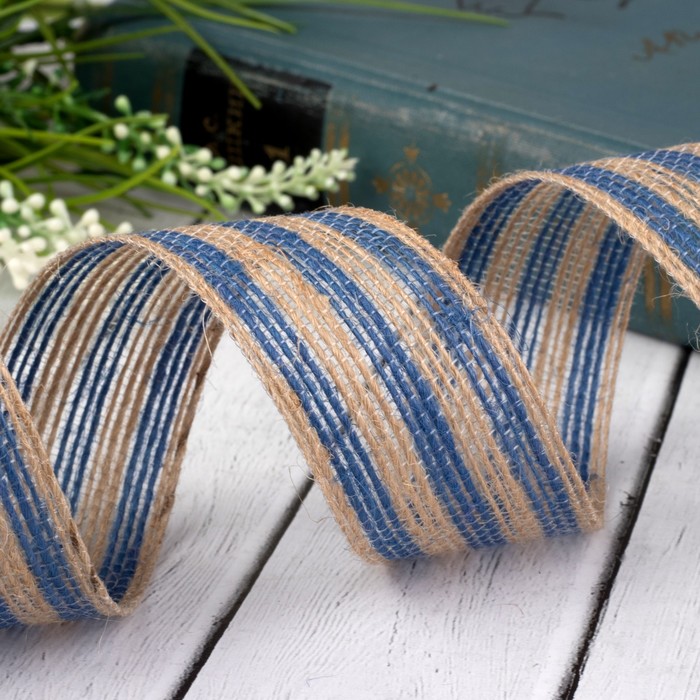 Лента холщовая "Полосы", 30мм, 5±1м, цвет синий