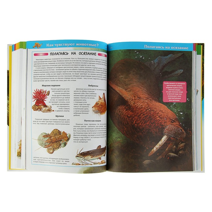 Большая энциклопедия животных