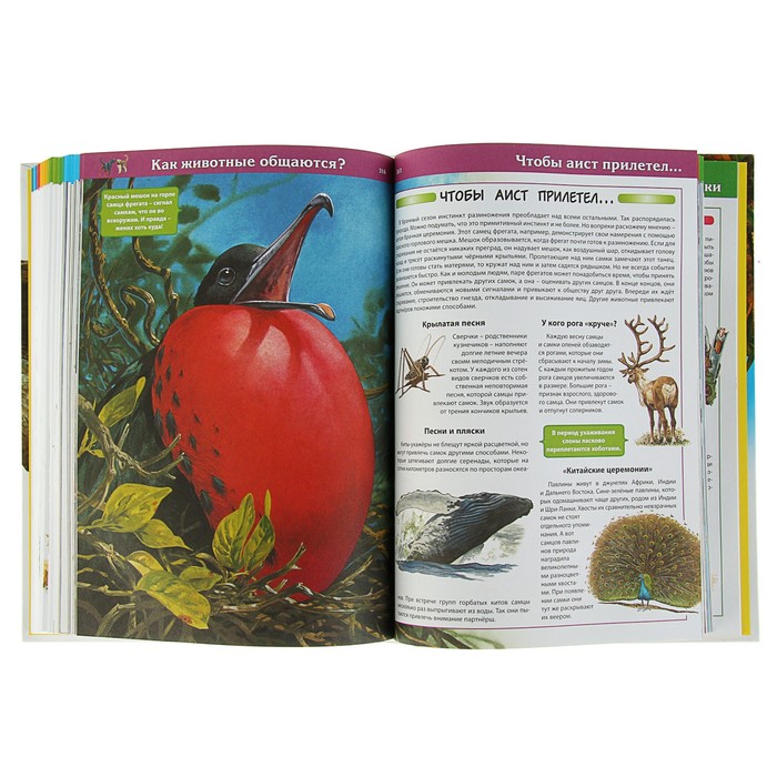 Большая энциклопедия животных