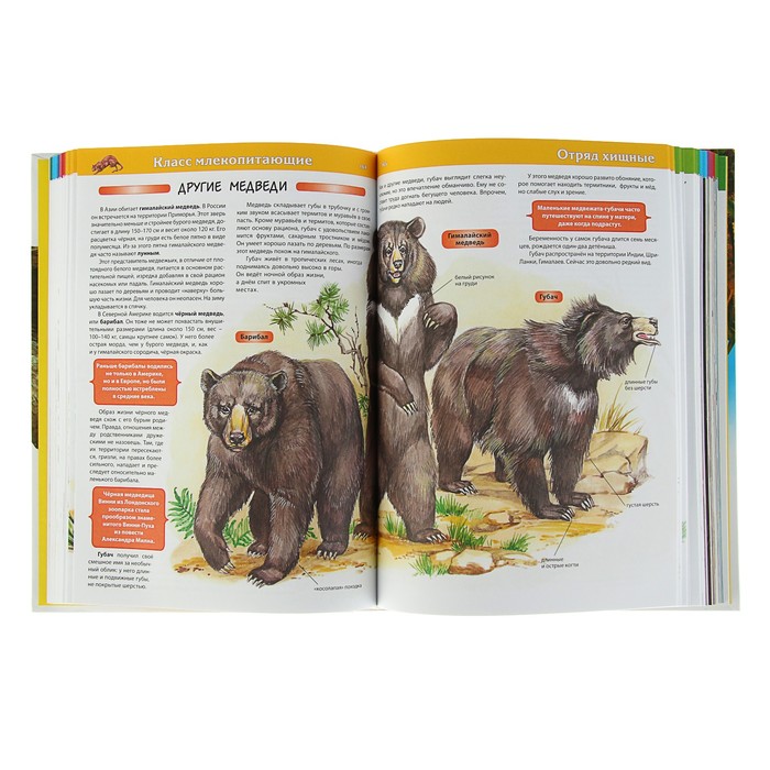 Большая энциклопедия животных