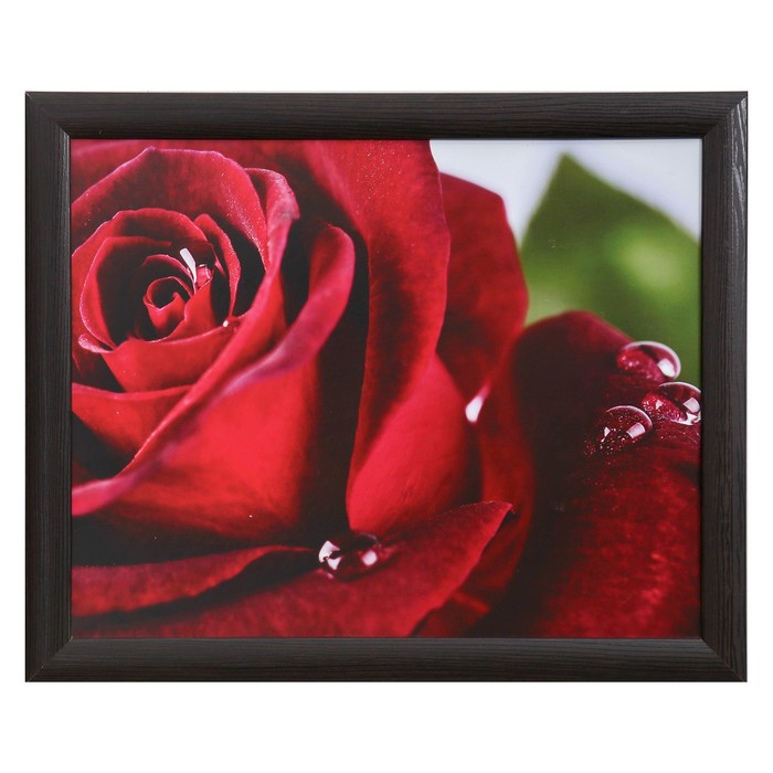 Картина "Бутон красной розы" 40*50 см МДФ