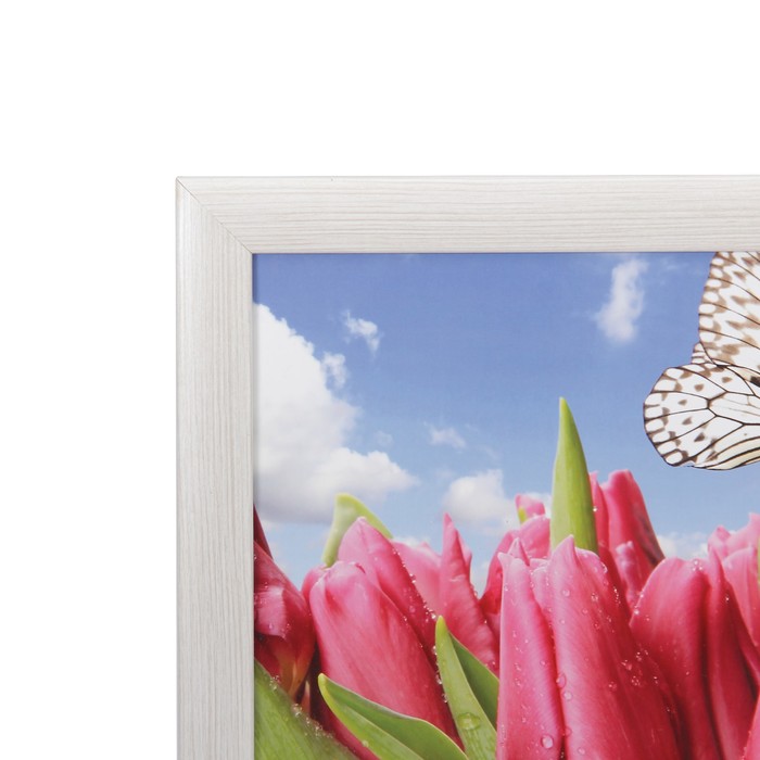 Картина "Бабочка над тюльпанами" 38*75 см МДФ, рамка микс