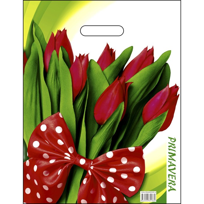 Пакет "Примавера", полиэтиленовый с вырубной ручкой, 31 х 40 см, 60 мкм