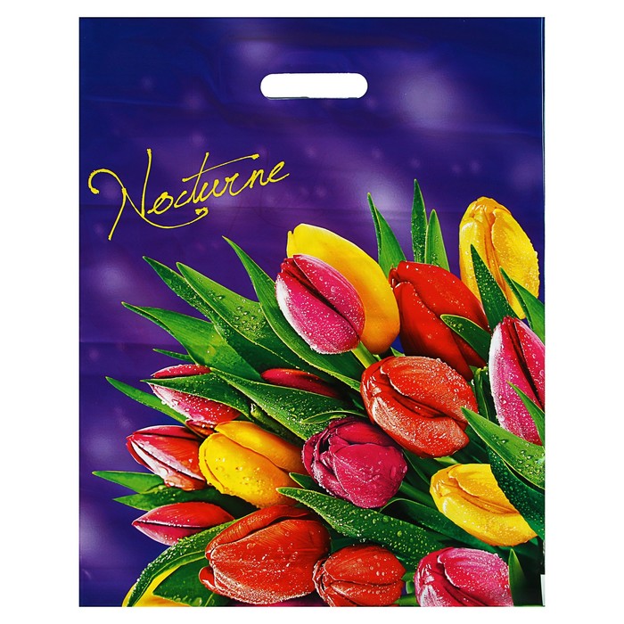 Пакет "Ноктюрн", полиэтиленовый с вырубной ручкой, 40 х 50 см, 80 мкм