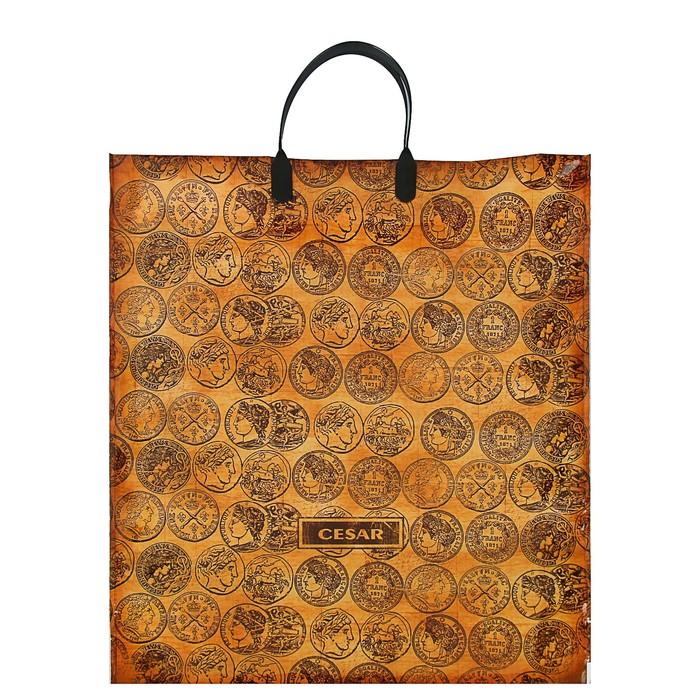 Пакет "Цезарь", полиэтиленовый с пластиковой ручкой, 40 х 44 см, 100 мкм