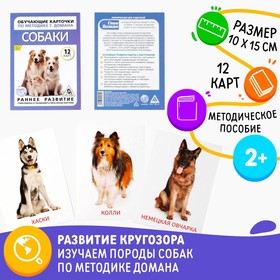 Обучающие карточки по методике Г. Домана «Собаки», 10 карт, А6 Ош