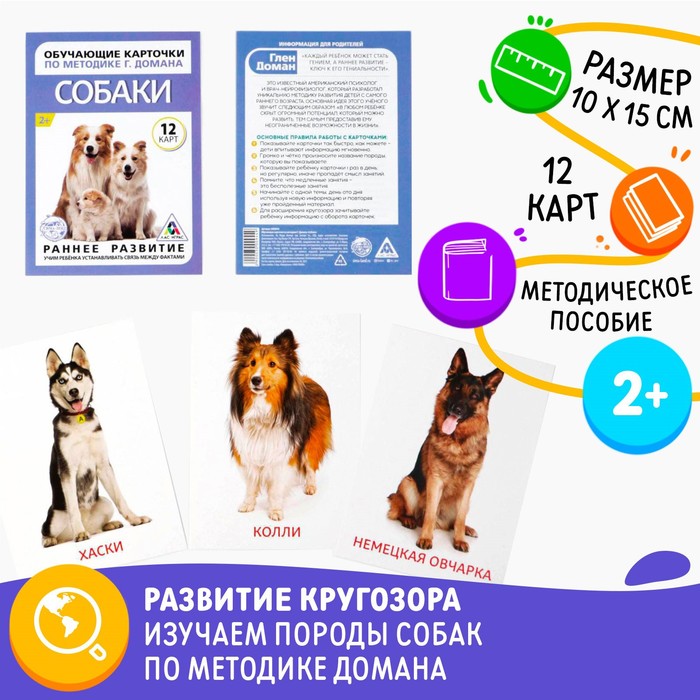 Обучающие карточки по методике Г. Домана Собаки, 10 карт, А6