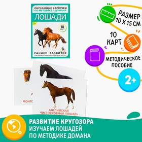 Обучающие карточки по методике Г. Домана «Лошади», 10 карт, А6 Ош