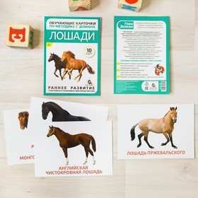 

Обучающие карточки по методике Г. Домана «Лошади», 10 карт, А6