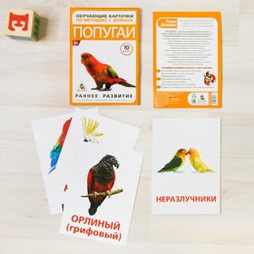 

Обучающие карточки по методике Г. Домана «Попугаи», 10 карт, А6