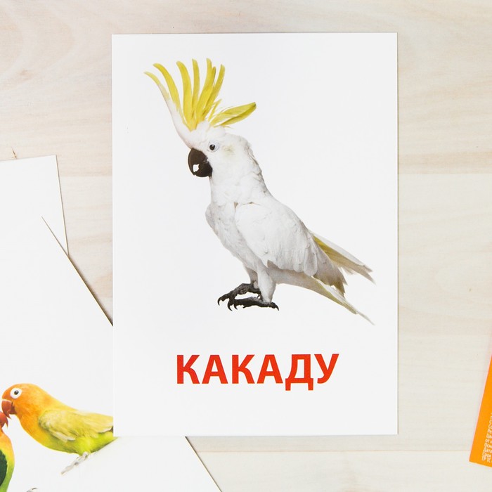 Обучающие карточки по методике Г. Домана "Попугаи"