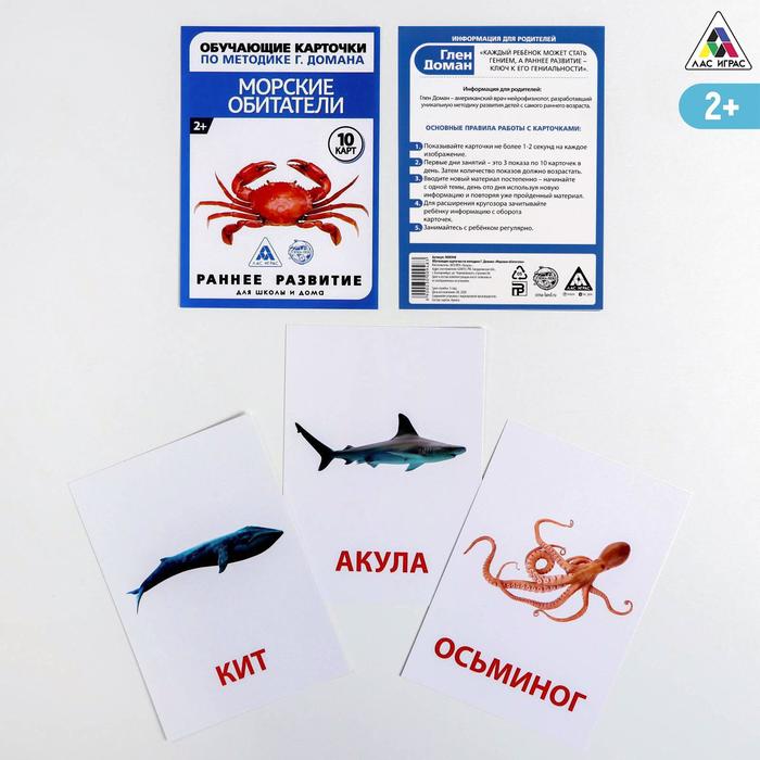 

Обучающие карточки по методике Г. Домана «Морские обитатели», 10 карт, А6