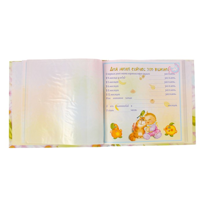 Фотоальбом на 52 фото 10х15 см, 2 фото 15х21 см Pioneer "Наш малыш" с цветами