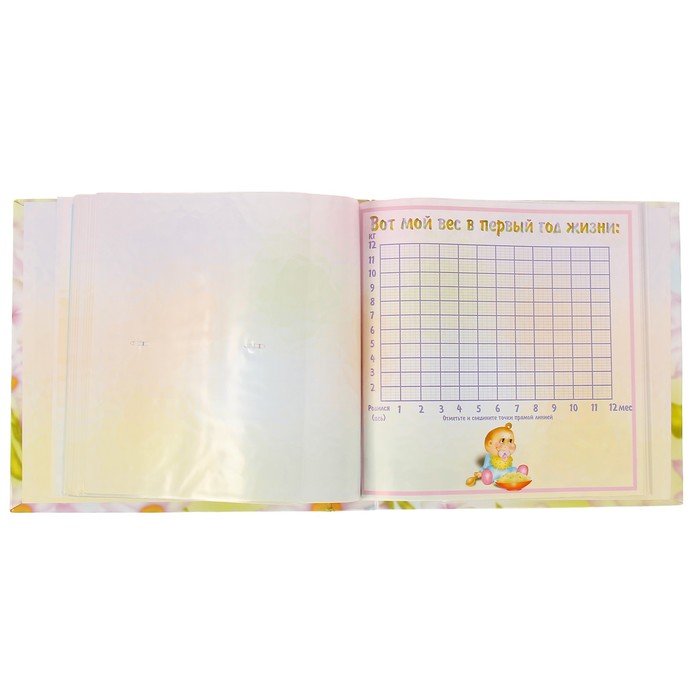 Фотоальбом на 52 фото 10х15 см, 2 фото 15х21 см Pioneer "Наш малыш" с цветами