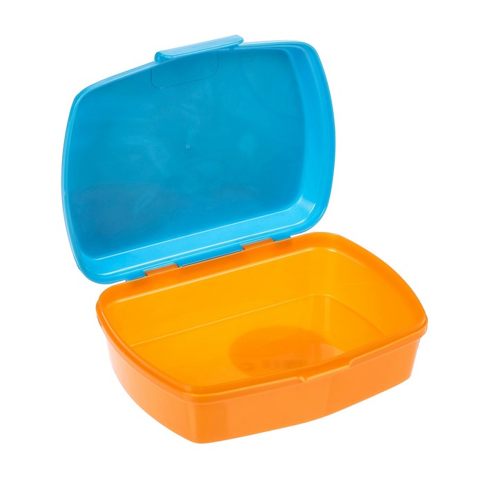 Ланч-бокс 17х14х5,6 см "Вспыш и чудо-машинки"