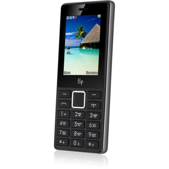 Сотовый телефон Fly FF248 Grey