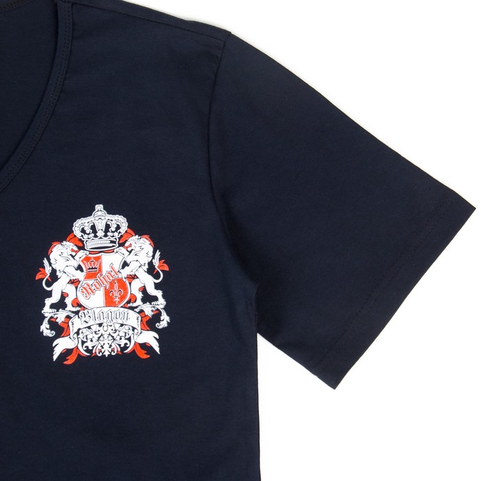 Комплект мужской (футболка, брюки) 1859 цвет МИКС, р-р 54