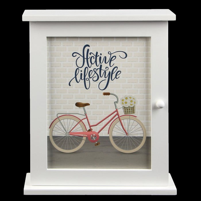 Ключница дерево 6 крючков "Велосипед с ромашками" белая 28х22х6,5 см