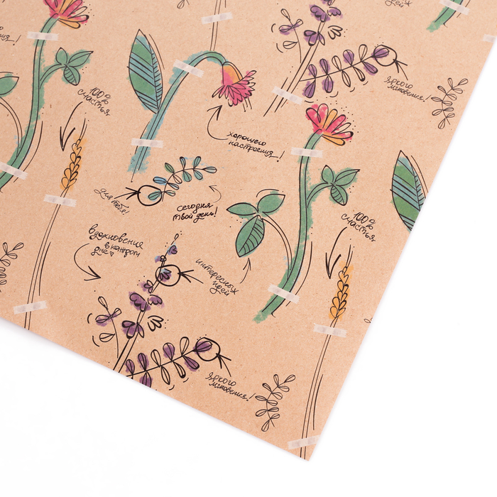 Бумага упаковочная крафтовая «Ботаника», 50 × 70 см