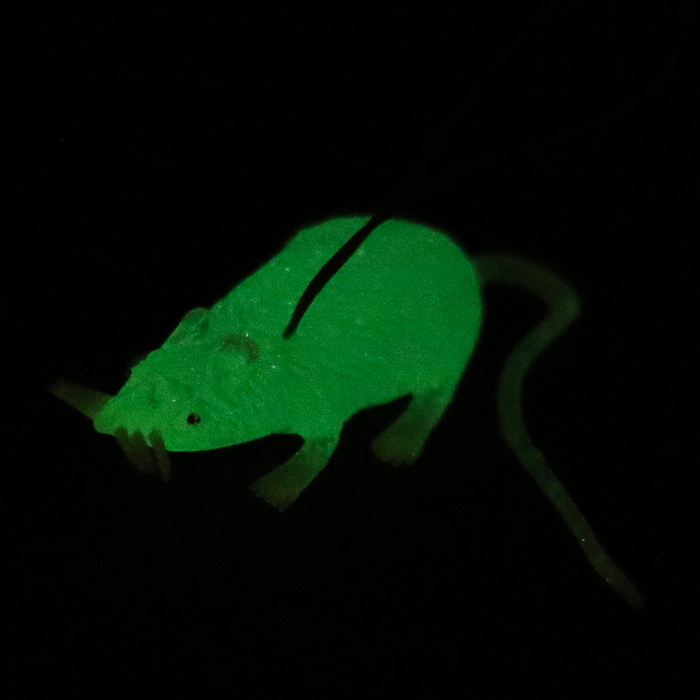 Декор в траву светящийся "Мышь" 3*8*2 см