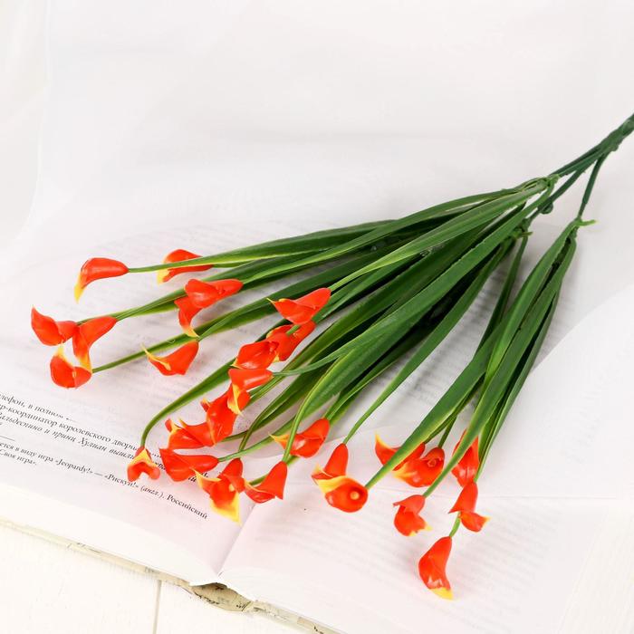 Букет "Калы" 35 см, микс