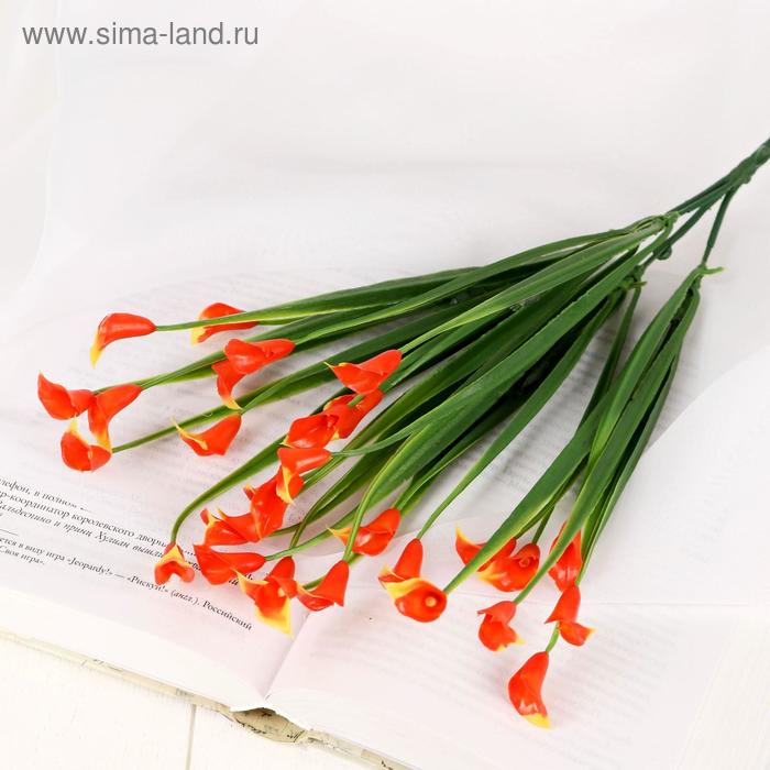 

Букет "Калы" 35 см, микс