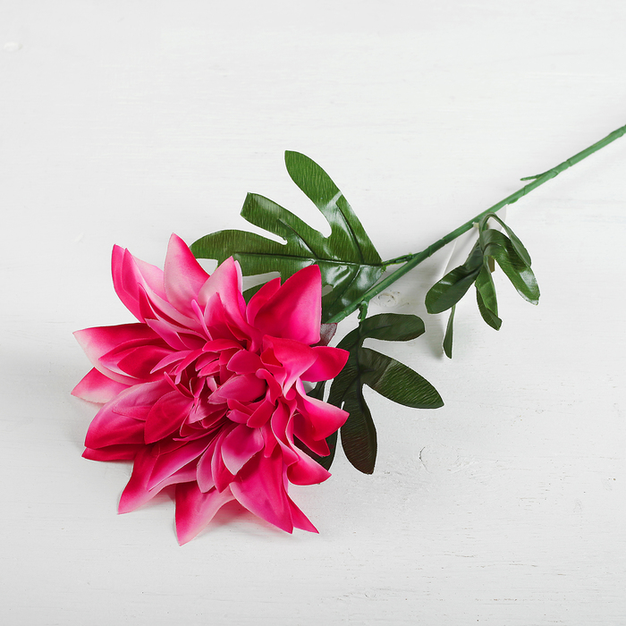 Цветы искусственные "Георгин парма" 15*62 см, сиреневый