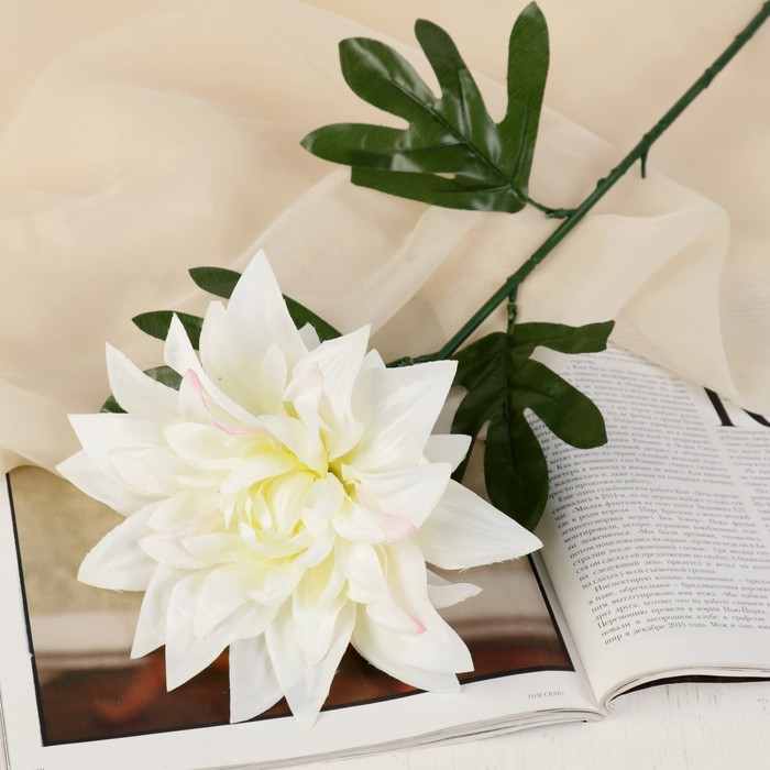 Цветы искусственные "Георгин парма" 15*62 см, белый