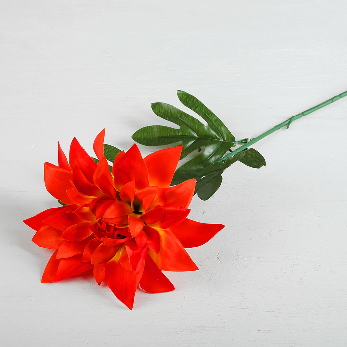 Цветы искусственные "Георгин парма" 15*62 см, оранжевый