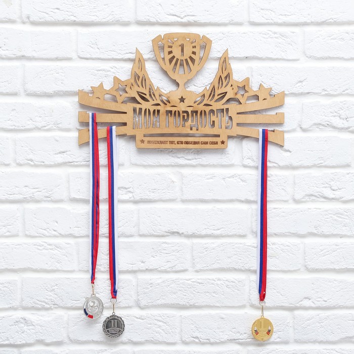 Медальница "Моя гордость" Побеждает тот, кто победил сам себя.