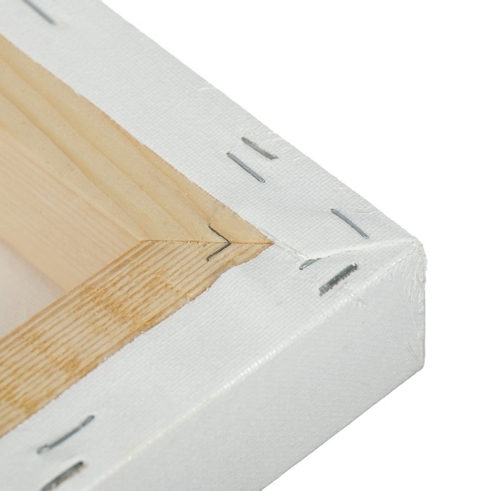 Холст на подрамнике хлопок 100% акриловый грунт 4*30*60 см среднезернистый, 380г/м2 Школа Художников