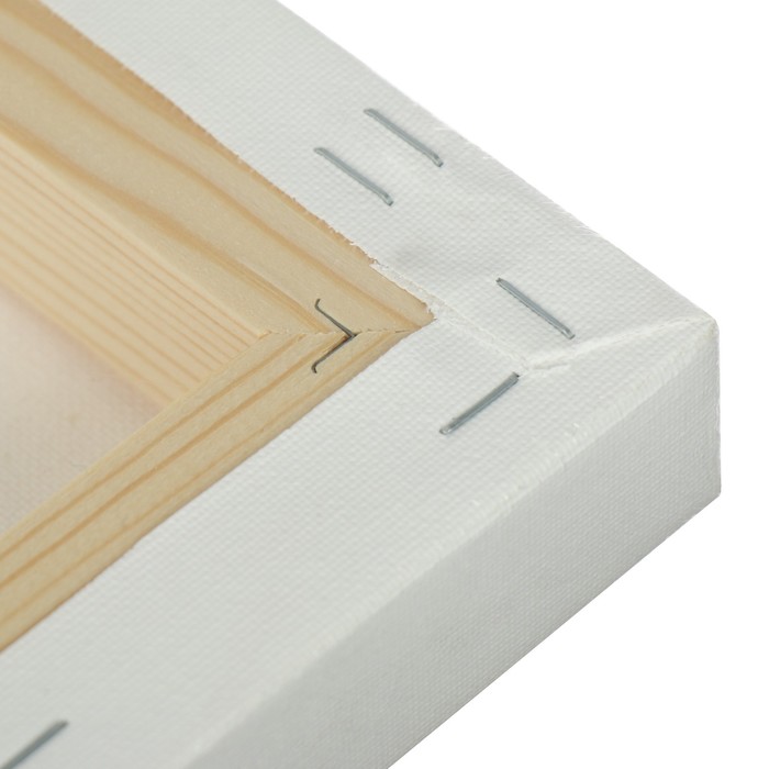 Холст на подрамнике хлопок 100% акриловый грунт 4*40*50 см среднезернистый, 380г/м2 Школа Художников