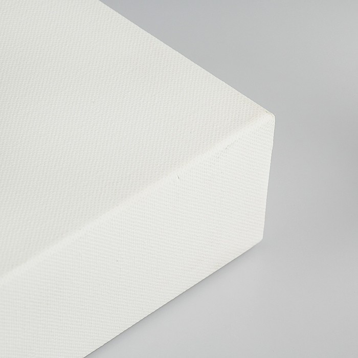 Холст на подрамнике хлопок 100% акриловый грунт 6*30*50 см среднезернистый, 380г/м2 Школа Художников