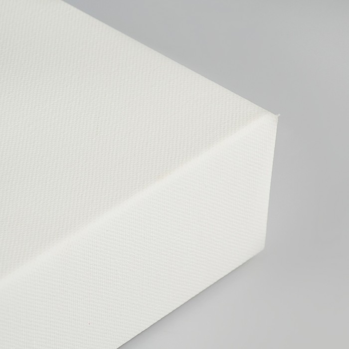 Холст на подрамнике хлопок 100% акриловый грунт 6*30*60 см среднезернистый, 380г/м2 Школа Художников