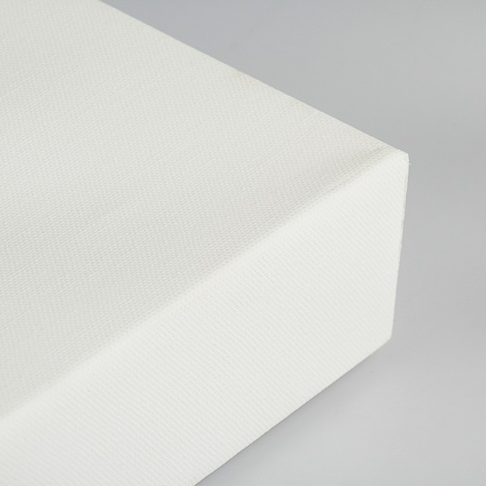 Холст на подрамнике хлопок 100% акриловый грунт 6*50*70 см среднезернистый, 380г/м2 Школа Художников