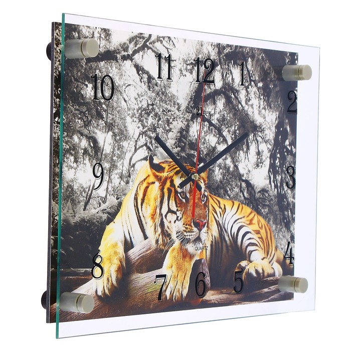 Часы настенные "Тигр", стекло, 25х35 см микс