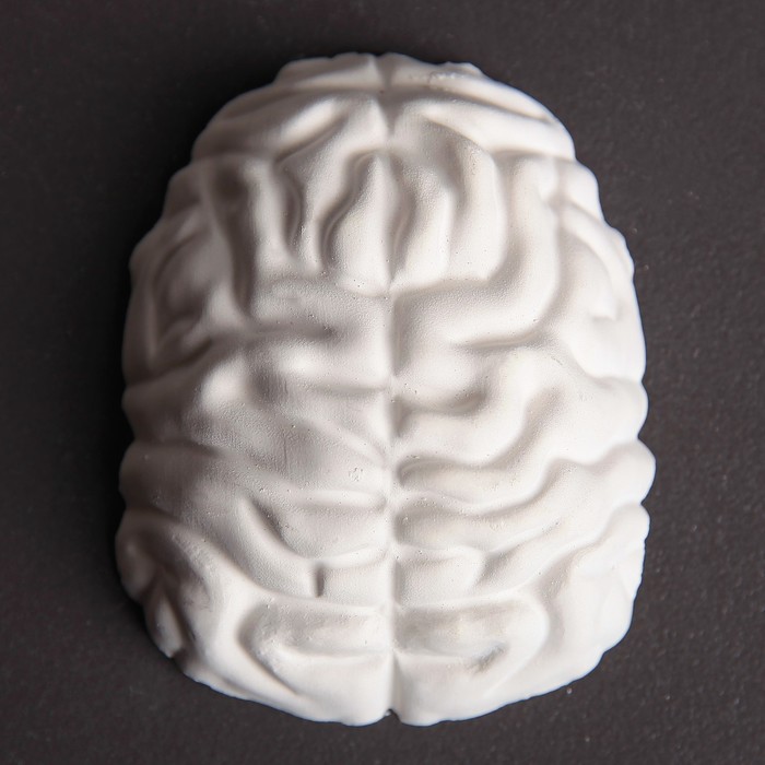 Фигурка под роспись "Мозг", 14х10 см