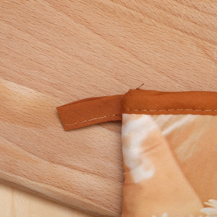 Набор для кухни: рукавичка 17х27см, прихватка 17х17см, цвета МИКС, 100 г/м2, п/э 100%