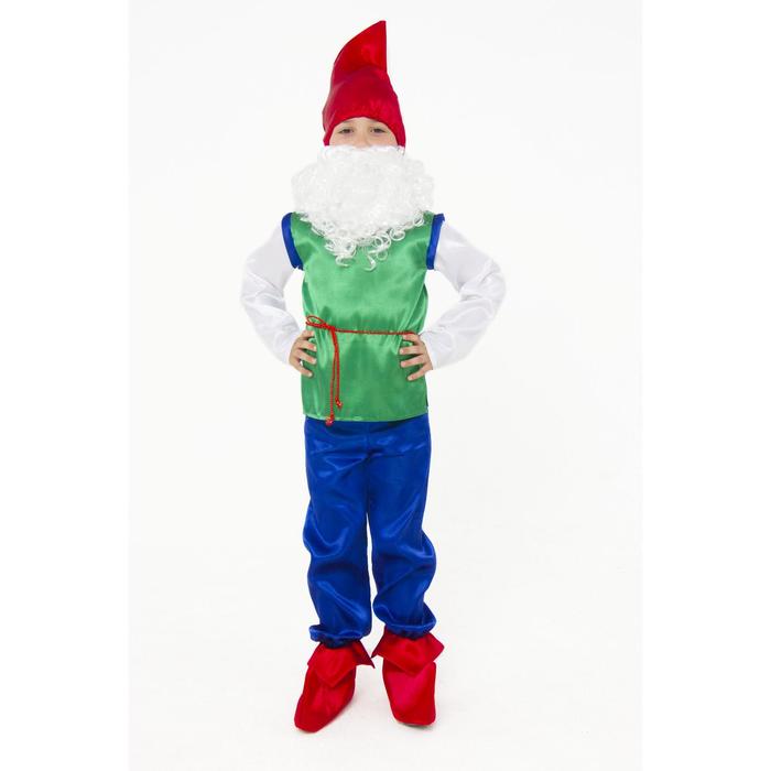 Карнавальный костюм «Гном», текстиль, размер 26, рост 104 см карнавальный костюм мальвина текстиль размер 26 рост 10