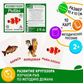 Обучающие карточки по методике Г. Домана «Рыбы», 10 карт, А6 Ош