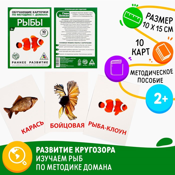 Обучающие карточки по методике Г. Домана Рыбы, 10 карт, А6
